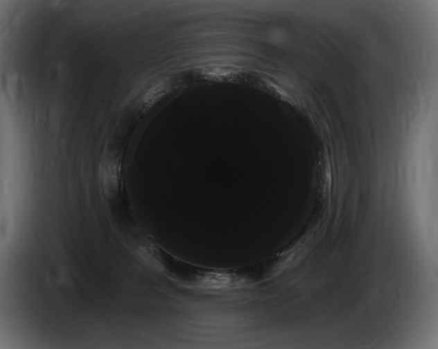 X0000085040227200703051358