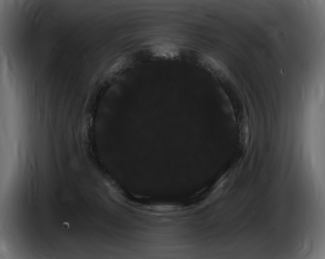 X0000085040229200703051358