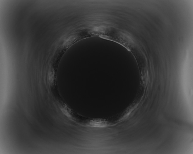 X0000085040231200703051358