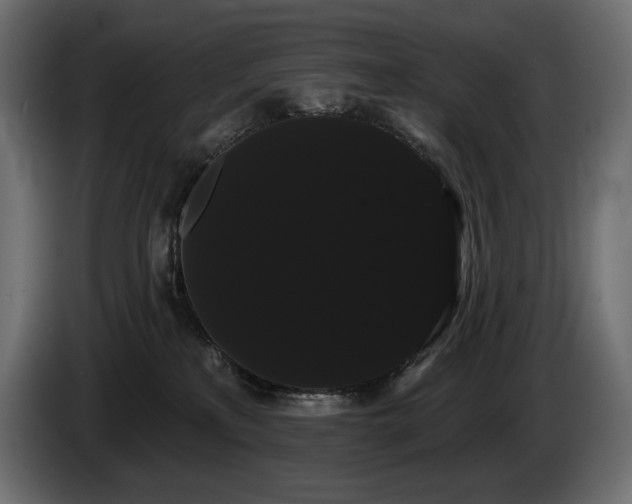 X0000085040233200703051358
