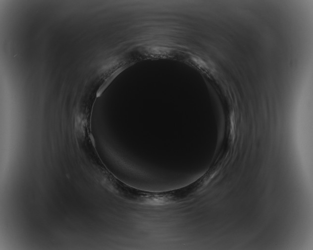 X0000085040235200703051358