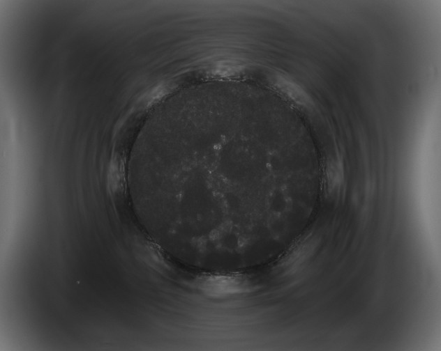 X0000085040236200703051358