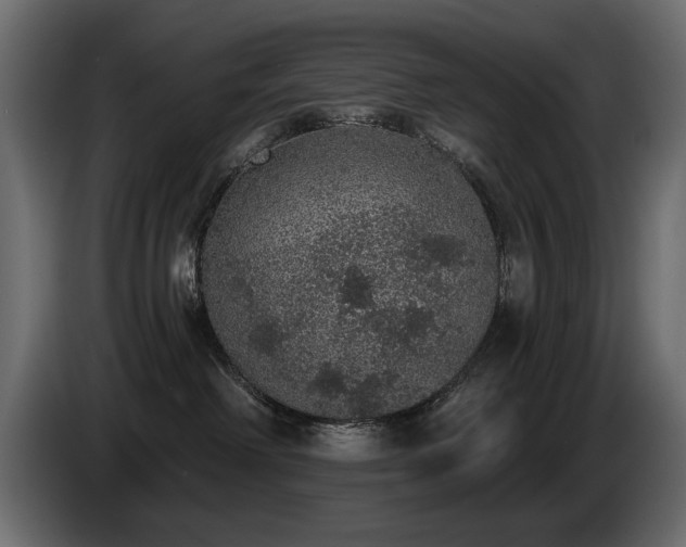 X0000085040238200703051358