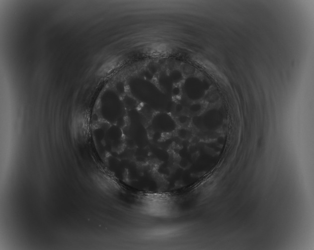 X0000085040240200703051358