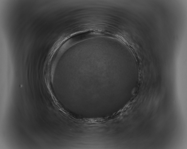 X0000085040241200703051357