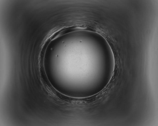 X0000085040242200703051357
