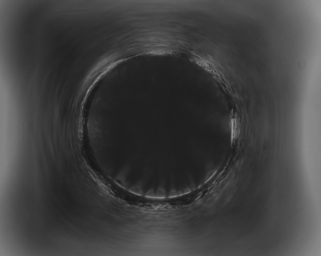 X0000085040243200703051357