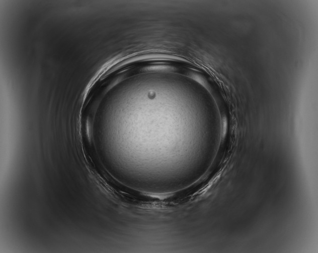 X0000085040244200703051357