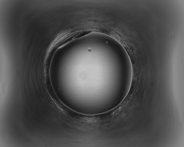 X0000085040245200703051357