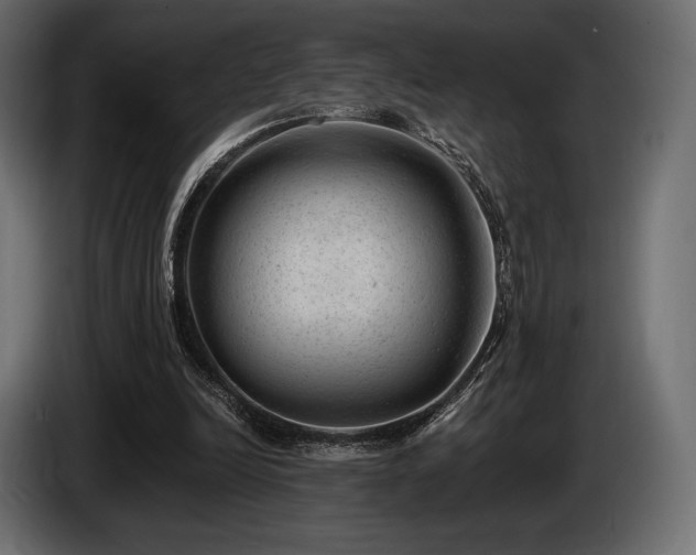 X0000085040246200703051357