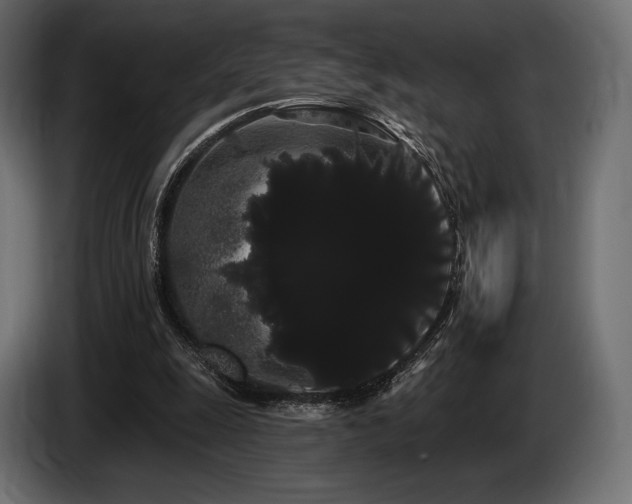 X0000085040247200703051357