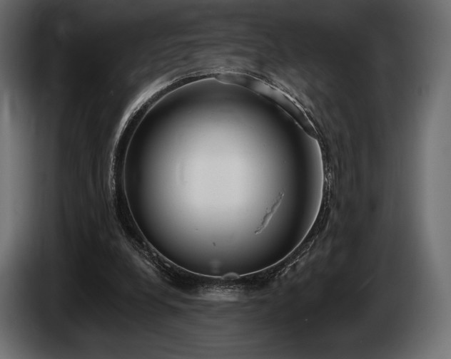 X0000085040248200703051357