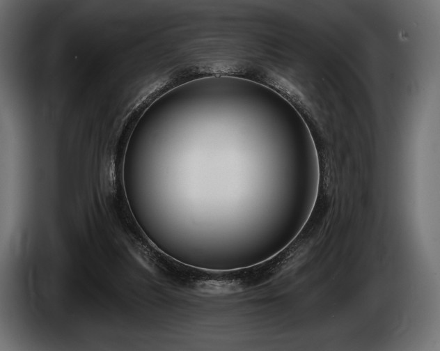 X0000085040251200703051357