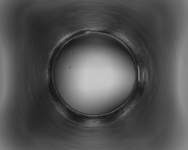X0000085040252200703051357