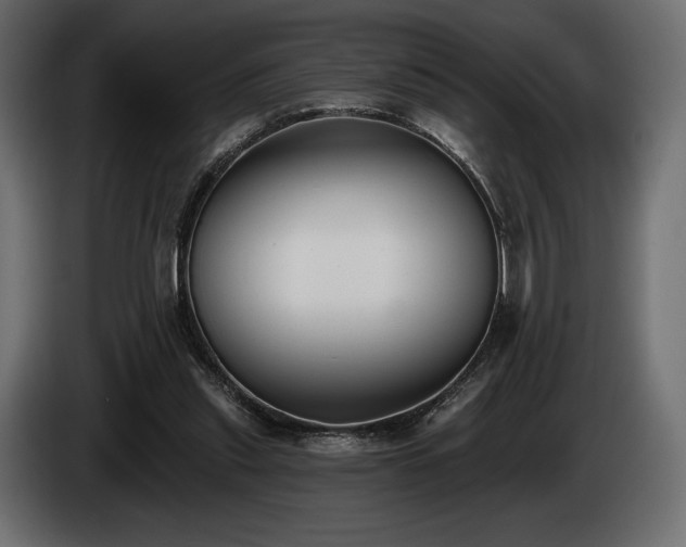 X0000085040253200703051357