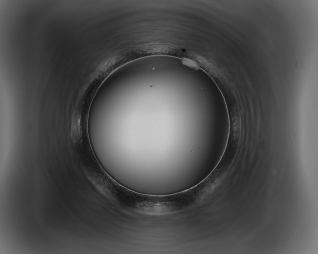 X0000085040254200703051357
