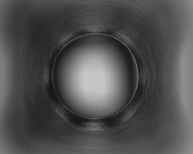 X0000085040255200703051357