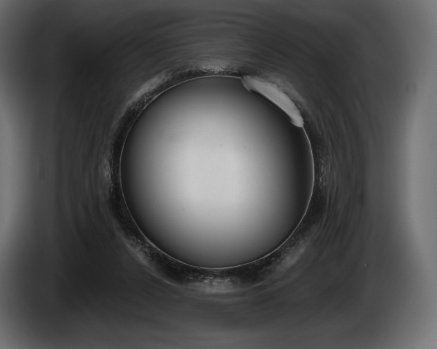 X0000085040256200703051357