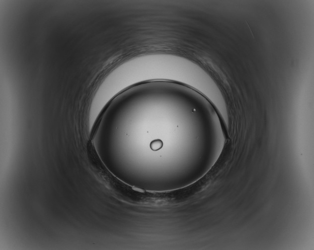 X0000085040260200703051357