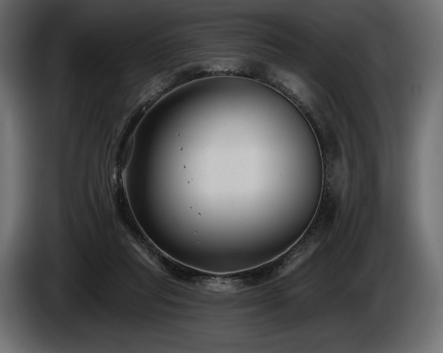 X0000085040261200703051357