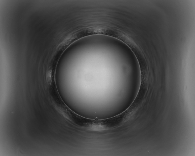 X0000085040262200703051357