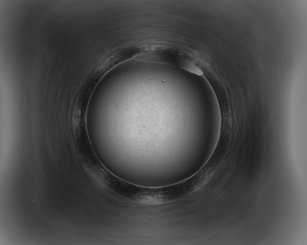 X0000085040263200703051357