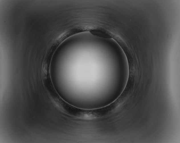 X0000085040264200703051357