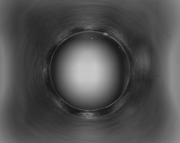 X0000085040265200703051357