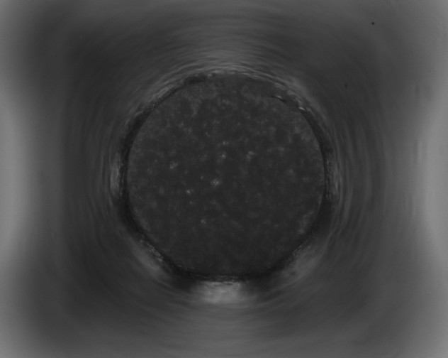 X0000085040266200703051357