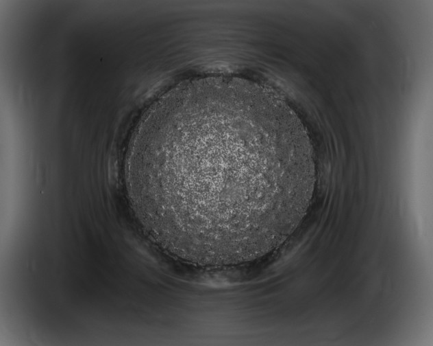 X0000085040268200703051358