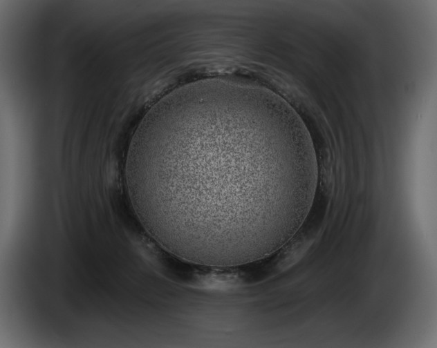 X0000085040270200703051358
