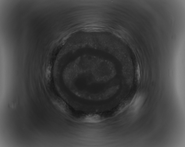 X0000085040271200703051358