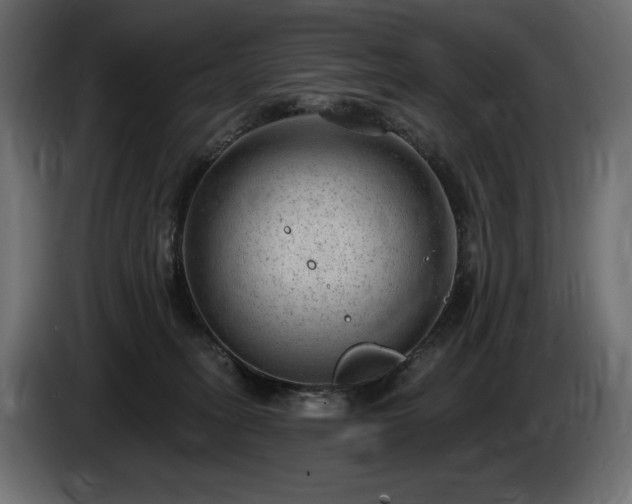 X0000085040275200703051358