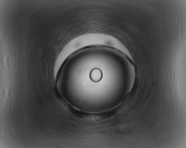 X0000085040276200703051358