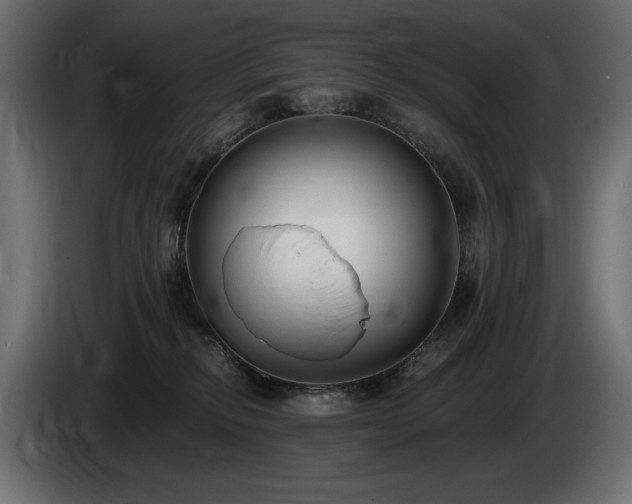 X0000085040278200703051358