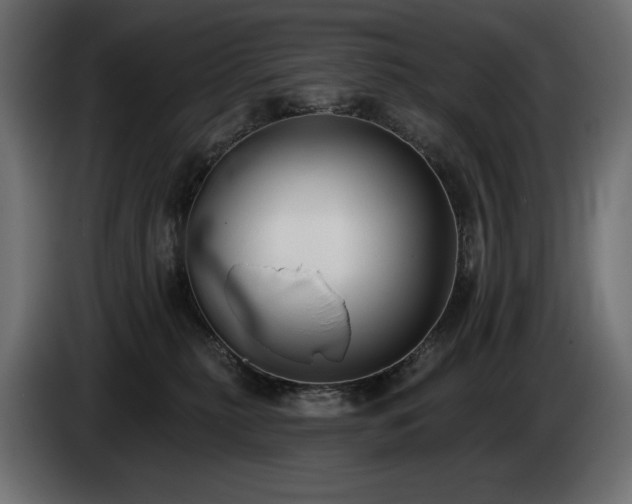 X0000085040279200703051358