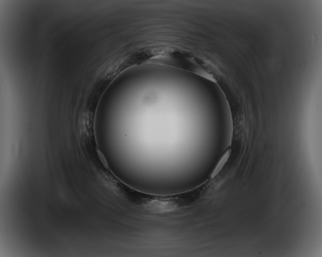 X0000085040280200703051358