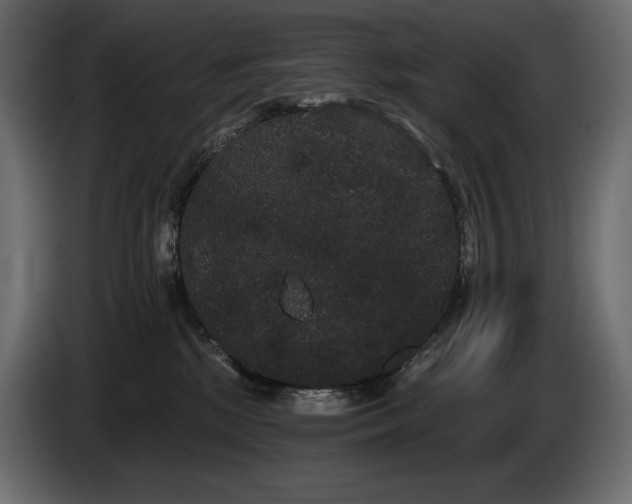 X0000085040281200703051358