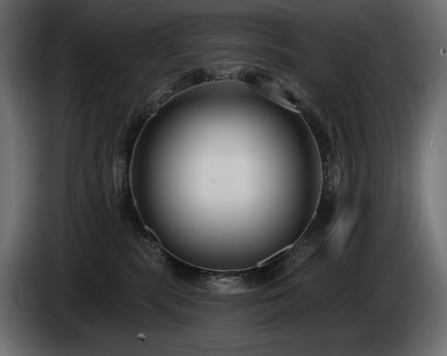 X0000085040283200703051358