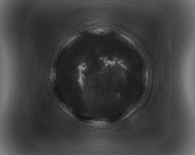 X0000085040284200703051358