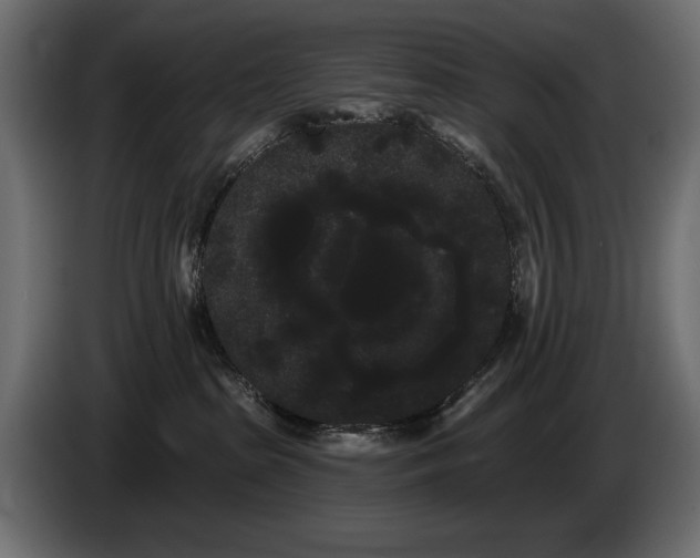 X0000085040285200703051358