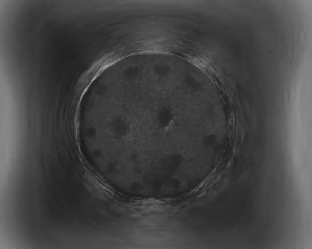 X0000085040290200703051357