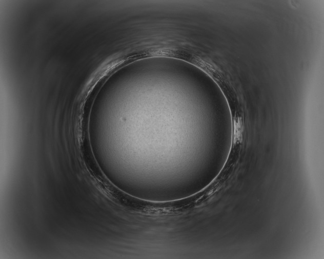 X0000085040291200703051357