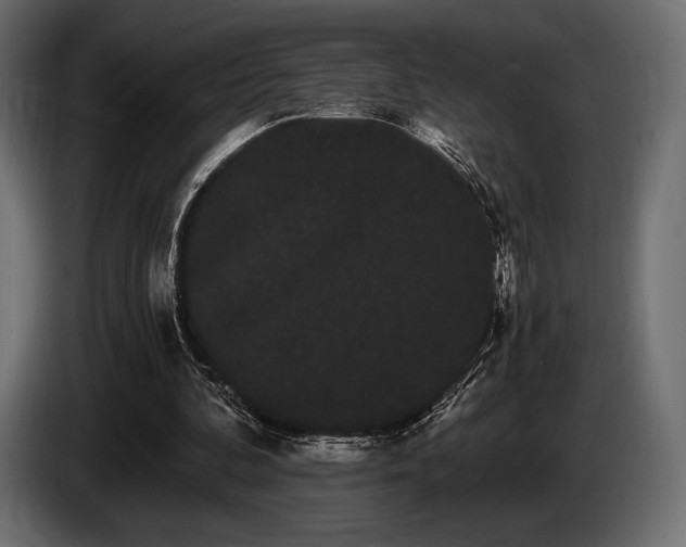 X0000085040292200703051357
