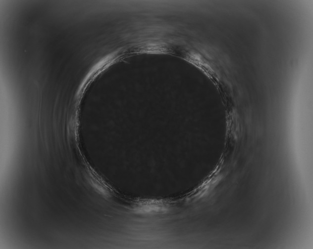 X0000085040293200703051357