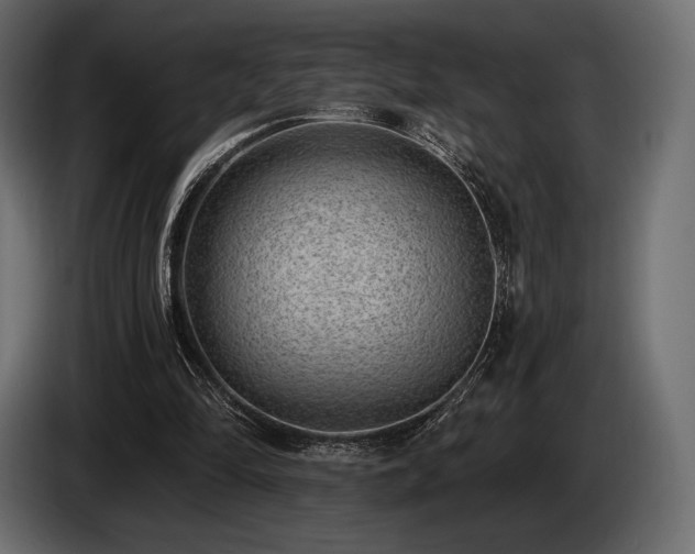 X0000085040294200703051357
