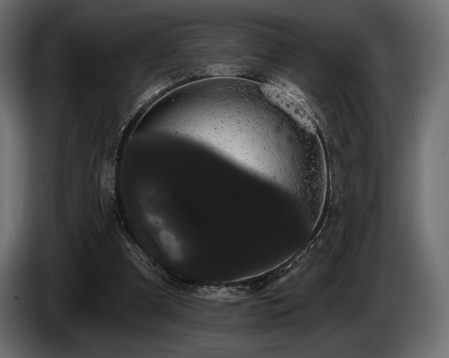 X0000085040297200703051357