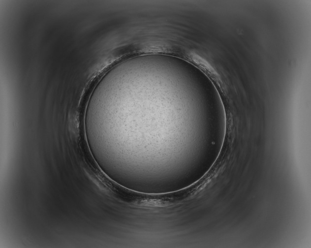 X0000085040298200703051357