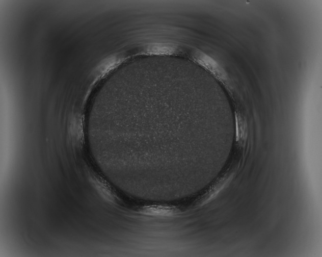 X0000085040300200703051357
