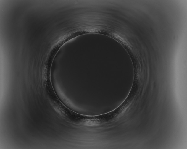 X0000085040303200703051357